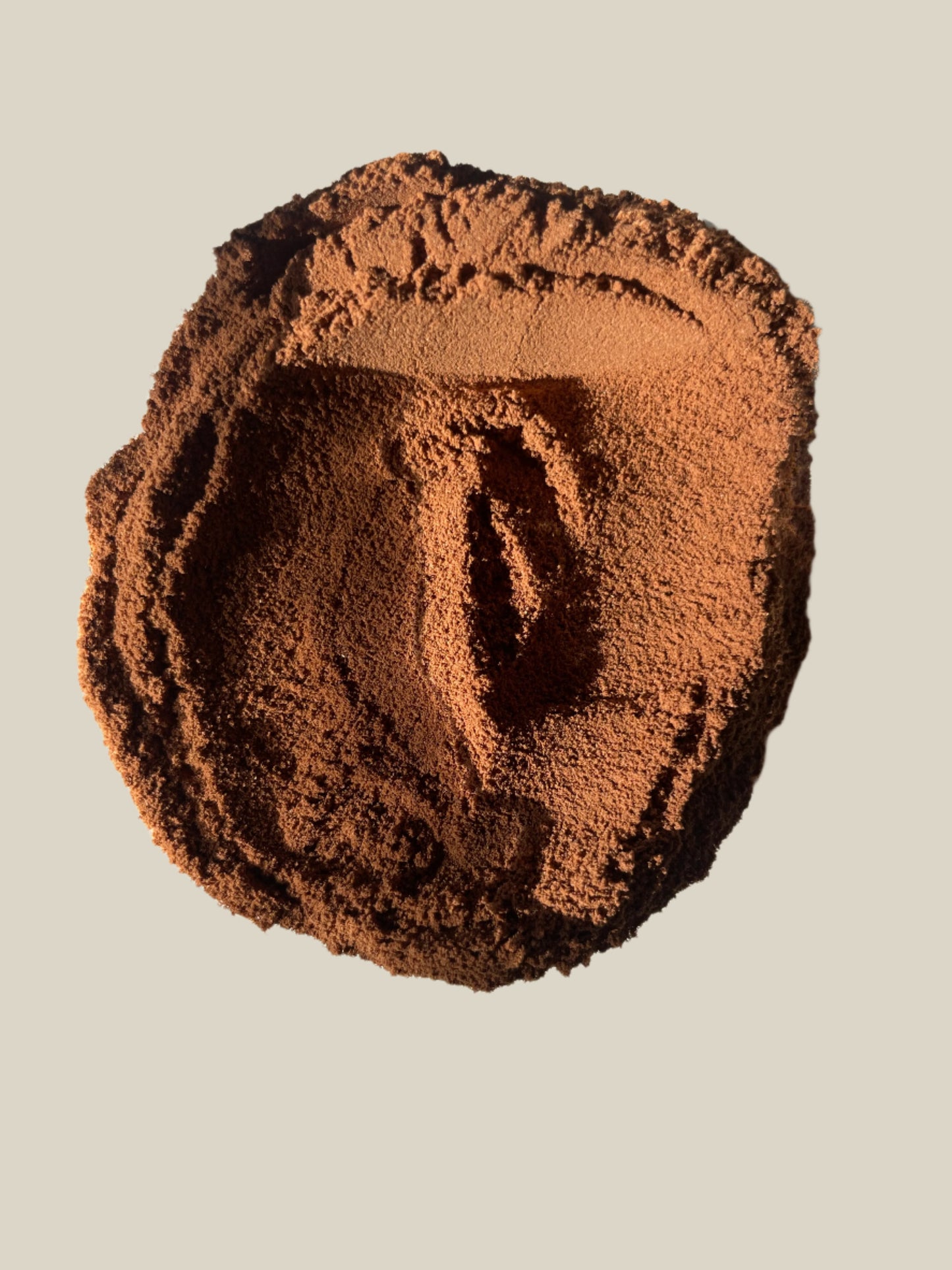 Organic Ceylon Cinnamon Herbal Tea