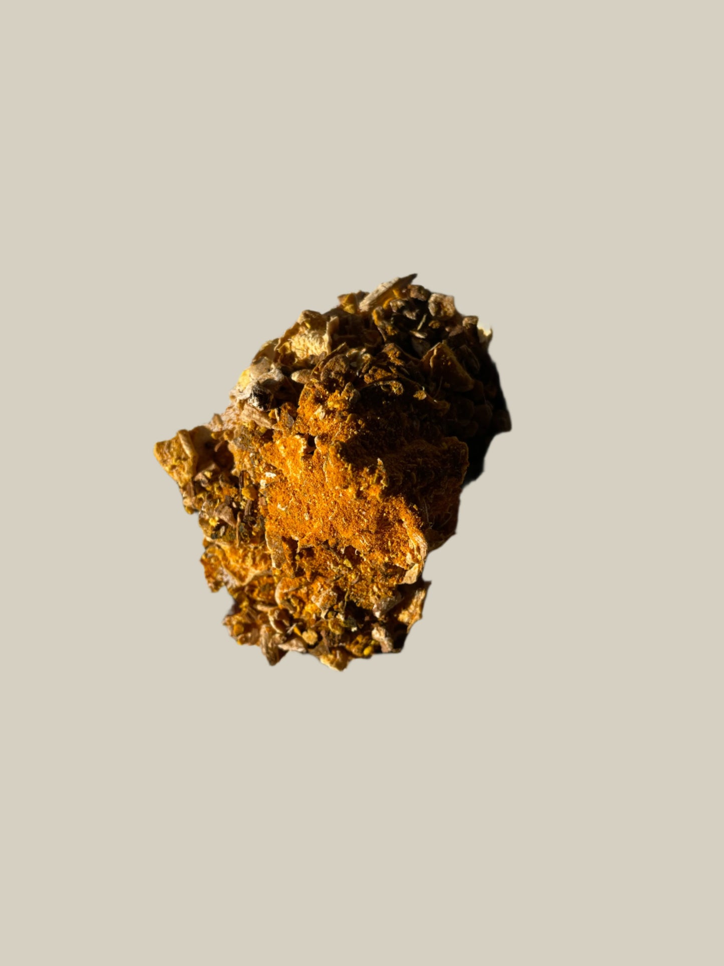 Roasted Dandelion Golden Infusion